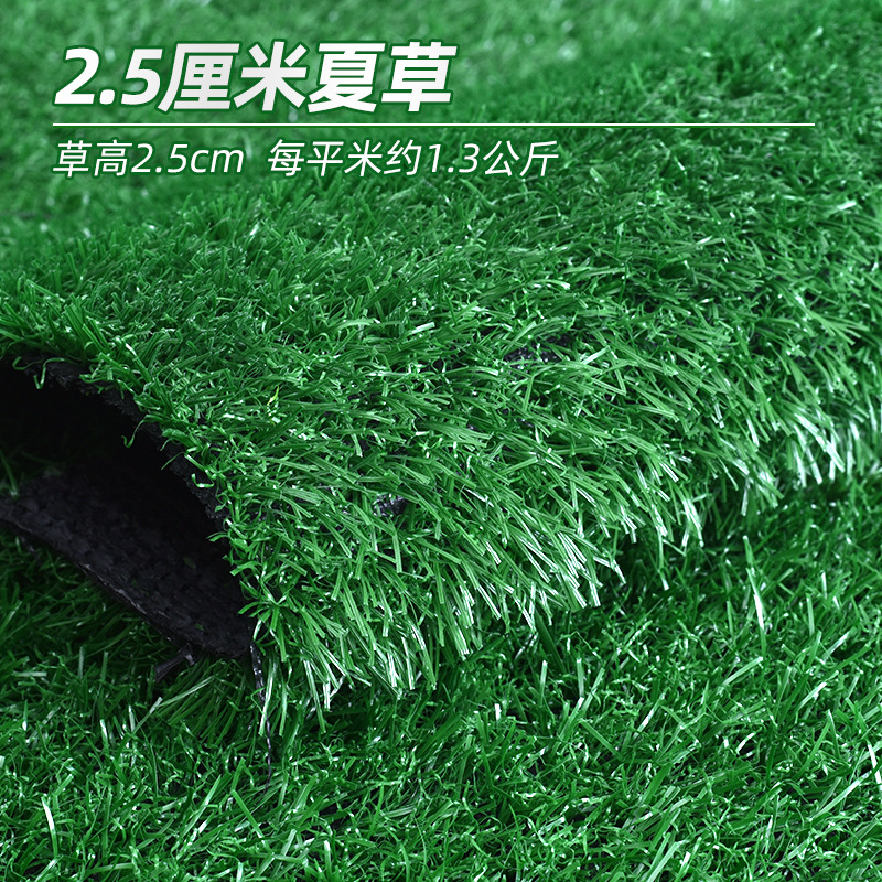 30868110_SKU图_夏草2.5CM（加密双背胶抗老化防阻燃）